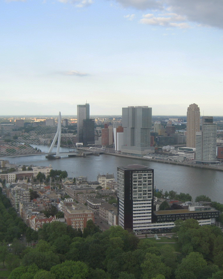 meistä_rotterdam skyline